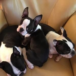 Meet your Posher, Donna